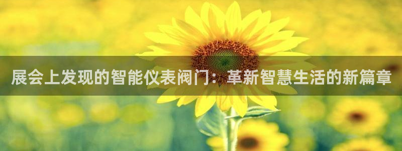 新 宝gg