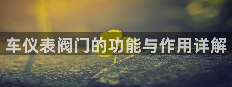 新宝gg 登陆